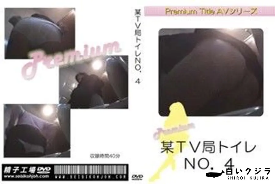 【某TV局トイレNO.4】の一覧画像