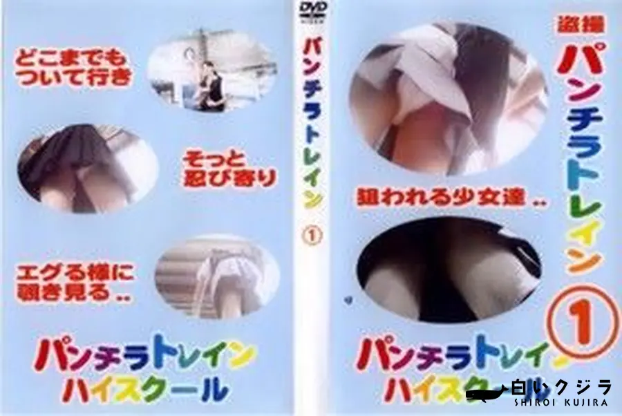 【盗撮 パンチラトレイン 1】の一覧画像