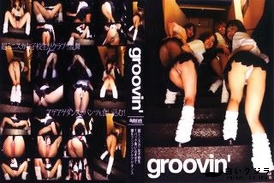 【Groovin 3 】の一覧画像