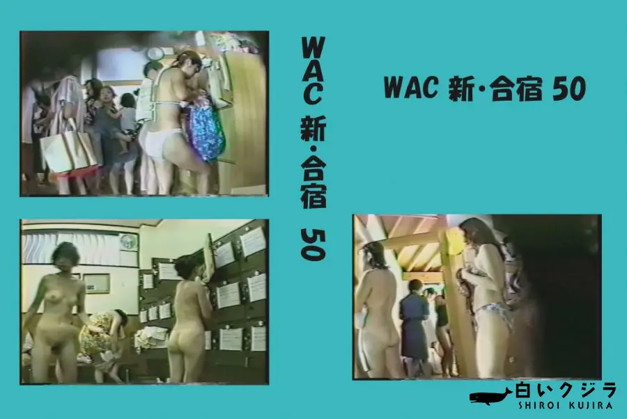 【WAC 新・合宿 50 】の一覧画像