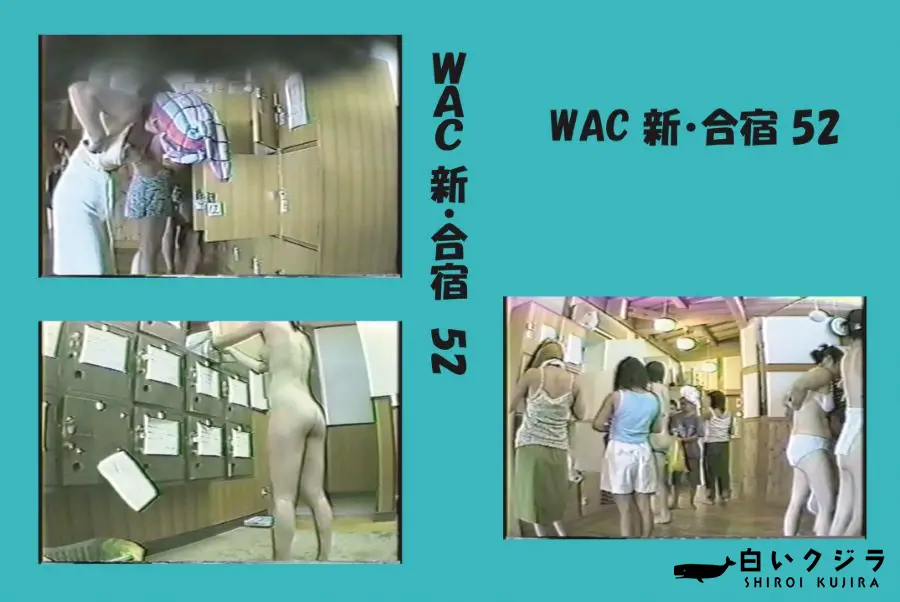 【WAC 新・合宿 52 】の一覧画像