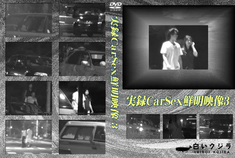 【実録CarSex鮮明映像3 】の一覧画像