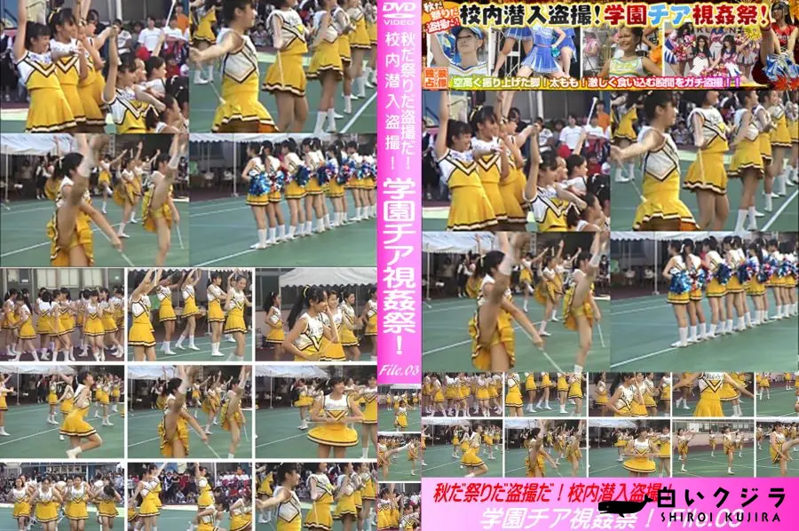 【秋だ祭りだ盗撮だ!校内潜入盗撮!学園チア視姦祭! File.03】の一覧画像