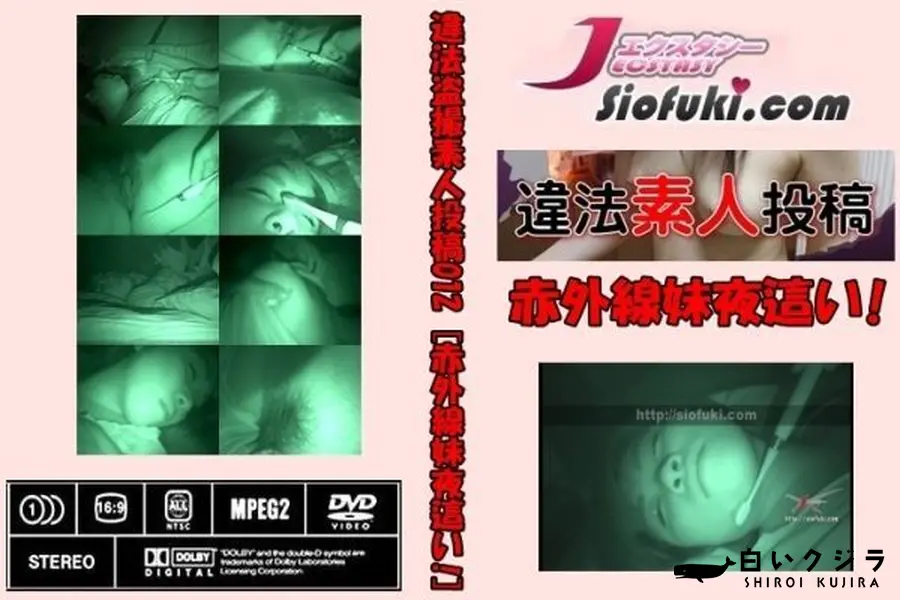 【違法盗撮素人投稿012 [赤外線妹夜這い!]】の一覧画像